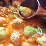 Cabbage_chicken_in_coconut_curry
