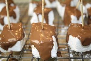 Chocolate-covered Homemade Marshmallows