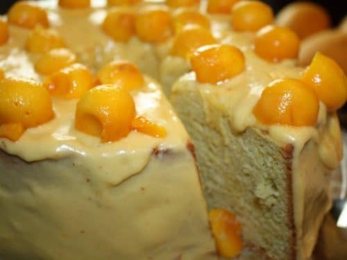 Mango Cardamom Polenta Cake (Instant Pot) - Spice Chronicles