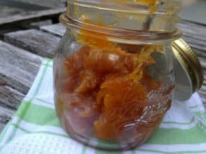 A Hundred Mangoes in a Bottle and a Mango Jam Recipe