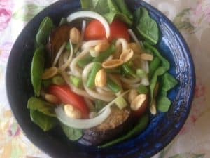 Spicy Udon Noodles Vegetable Salad