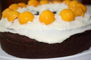 Chocolate Cake with Mango-Coconut Frosting