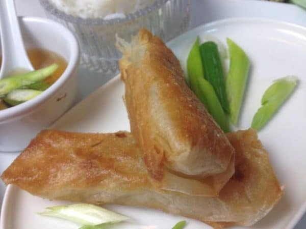 AsianInAmericaFriedVegetableLumpiaSSMHorizOK2016