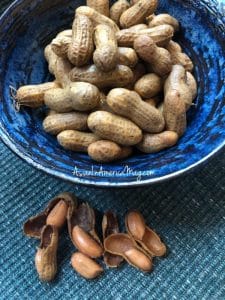 Boiled Peanuts – Filipino Nilagang Mani – Instant Pot + Stove-top