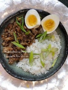 Chinese Braised Minced Pork on Rice
